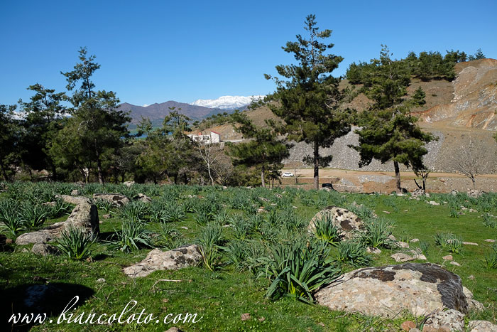 Есемекский карьер и скульптурная мастерская